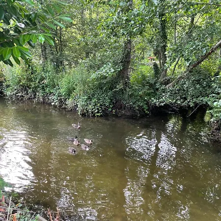 Le Vrai Paradis *